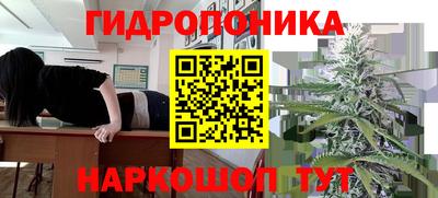 винт Берёзовский